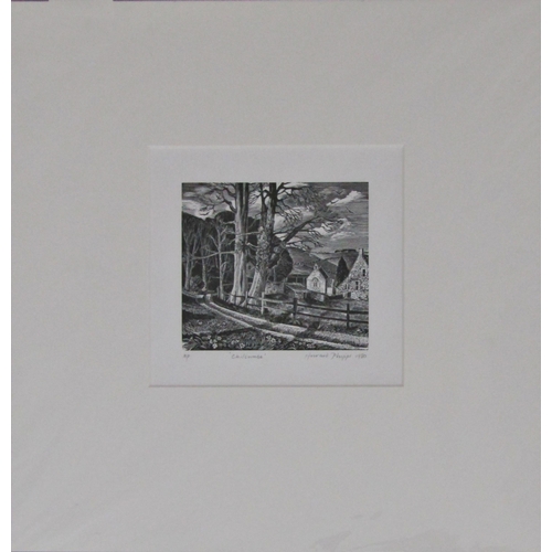 241 - HOWARD PHIPPS (b.1954)
'CHILCOMBE'
wood engraving, artist's proof, signed, titled and dated in penci... 