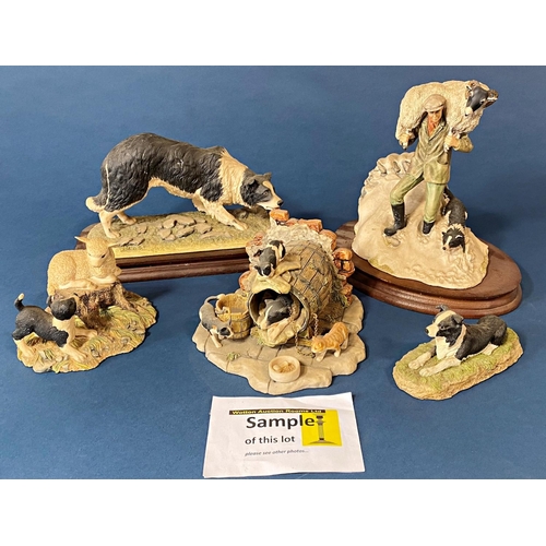 111 - A large quantity of resin models all featuring the border collie by Border Fine Arts, Danbury Mint, ... 