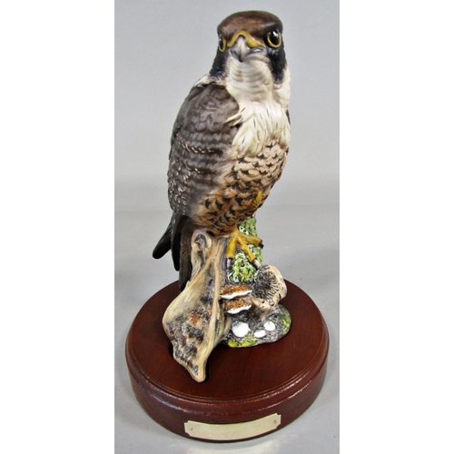 62 - A Royal Doulton Peregrine Falcon, 996/2500 with timber base and certificate