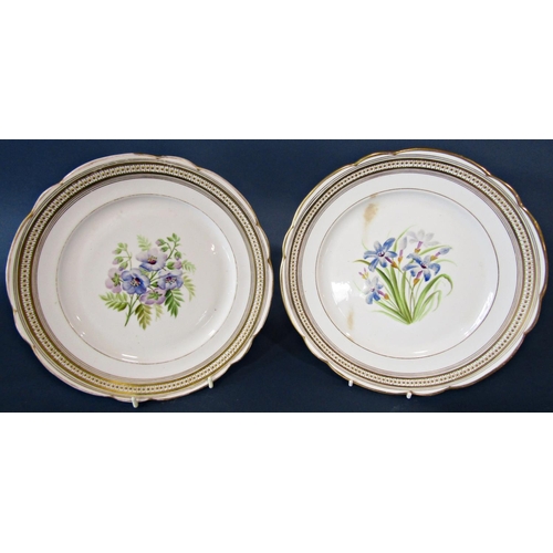 2 - A fourteen piece Victorian dessert service with individual hand painted botanical sprays, within rep... 