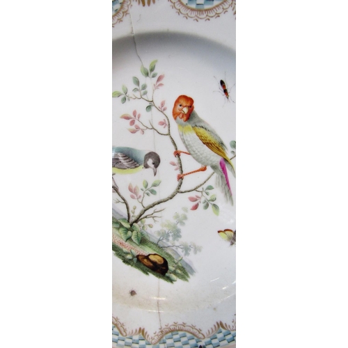 42 - A set of five 19th century Meissen dessert plates, each with an individual hand painted ornithologic... 