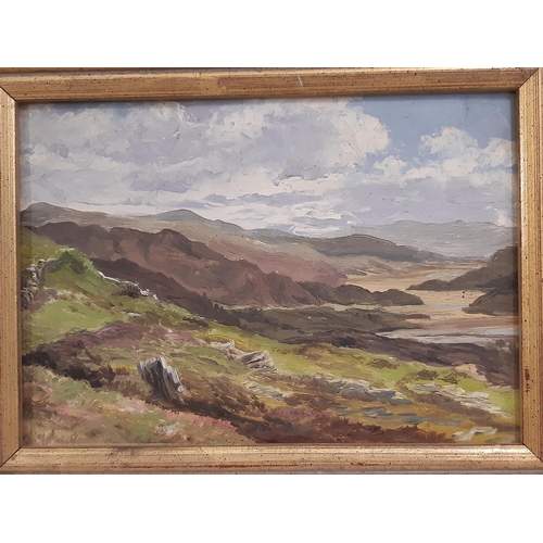 845 - Sidney Currie (act. 1892-1930) - 'Mawddach Estuary', oil on board, signed and inscribed in pencil ve... 