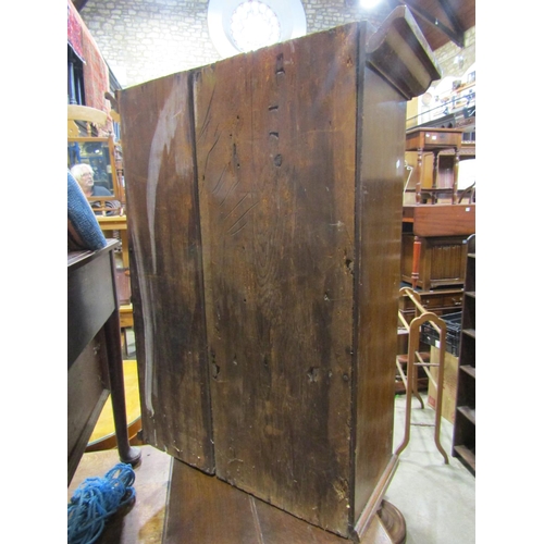 1253 - A 19th century oak hanging wall cabinet enclosed by a rectangular segmented moulded glazed panel doo... 