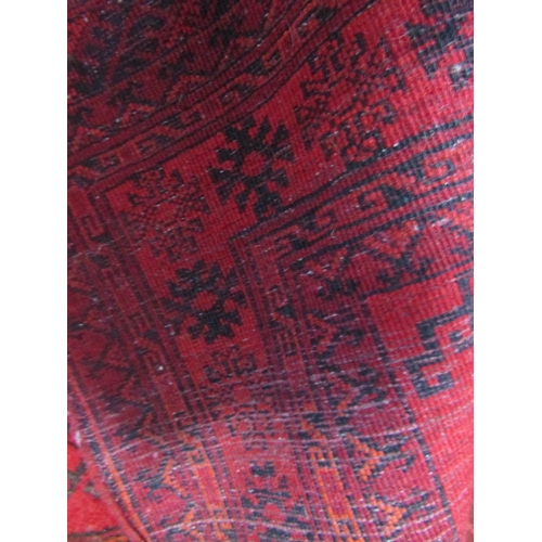 1823 - A small Turkoman rug with two elephant foot on a red ground 120cm x 80cm approx.