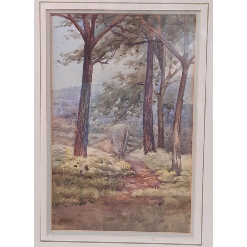 963 - Three framed watercolours and one print to include: Woodland scene, signed 'Johnson' lower right, wa... 