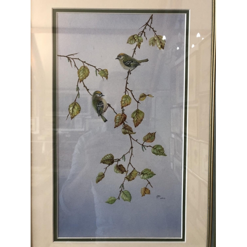 901A - Four framed paintings and prints of birds to include: R. Ingram - Jay Bird, watercolour on paper, si... 