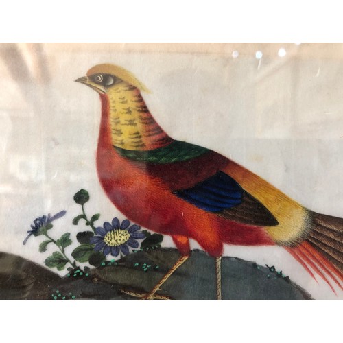 902 - Chinese Canton export watercolour on rice paper (19th century), two pheasants,  18 x 29 cm, framed a... 