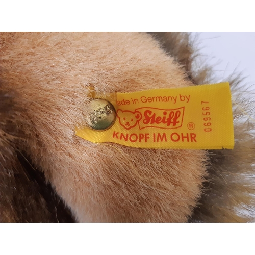 266 - Large sitting grizzly bear by Steiff with luxurious brown fur and tan muzzle, with tag and pin in ea... 