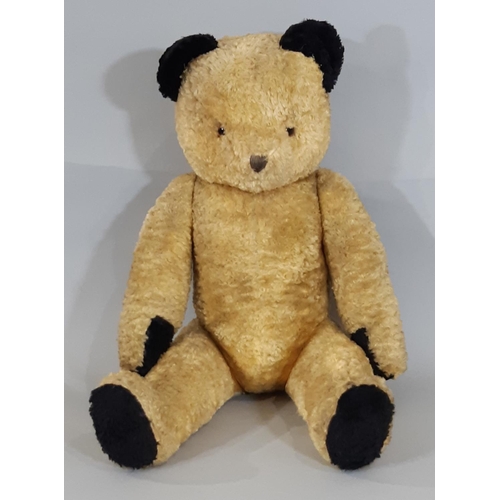 279 - A large 1950s gold plush Sooty type teddy bear with black paw pads and ears,  jointed firmly stuffed... 