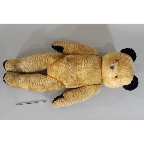 279 - A large 1950s gold plush Sooty type teddy bear with black paw pads and ears,  jointed firmly stuffed... 