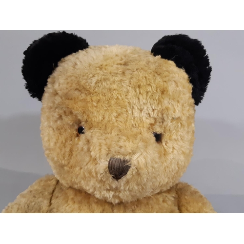 279 - A large 1950s gold plush Sooty type teddy bear with black paw pads and ears,  jointed firmly stuffed... 