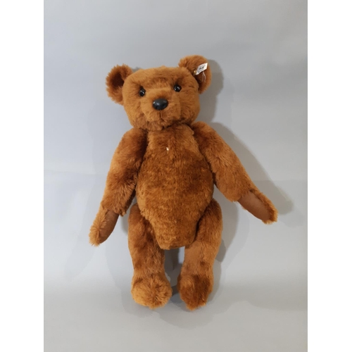 261 - Steiff teddy bear, 1902 replica 55PB no 404009, height 53cm, with pin in ear, box, no certificate