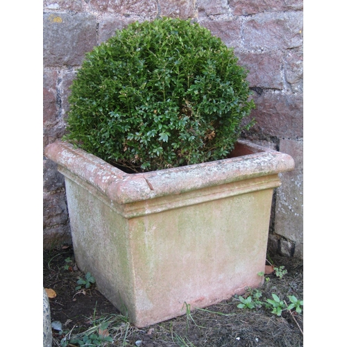 2073 - A pair of weathered terracotta planters of square tapered form with stepped and moulded rims contain... 