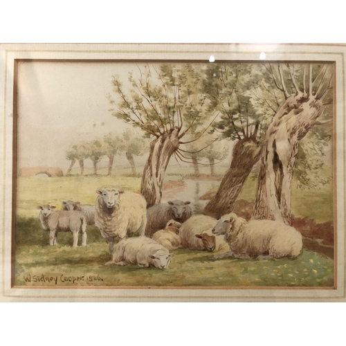 43 - William Sydney Cooper (1854-1927) - Sheep resting in a field, watercolour on paper, signed and dated... 