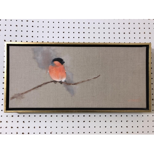 57 - Rachel Vynne (contemporary) - 'Bullfinch', oil on linen, signed lower right, 'Society of Wildlife Ar... 