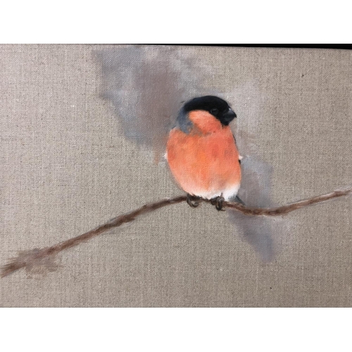 57 - Rachel Vynne (contemporary) - 'Bullfinch', oil on linen, signed lower right, 'Society of Wildlife Ar... 