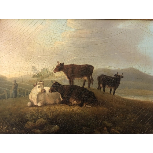 7 - Two oil paintings of cows and sheep in a landscape scene (20th century), with craquelure finish, 18 ... 