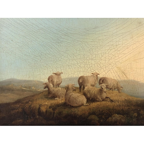 7 - Two oil paintings of cows and sheep in a landscape scene (20th century), with craquelure finish, 18 ... 