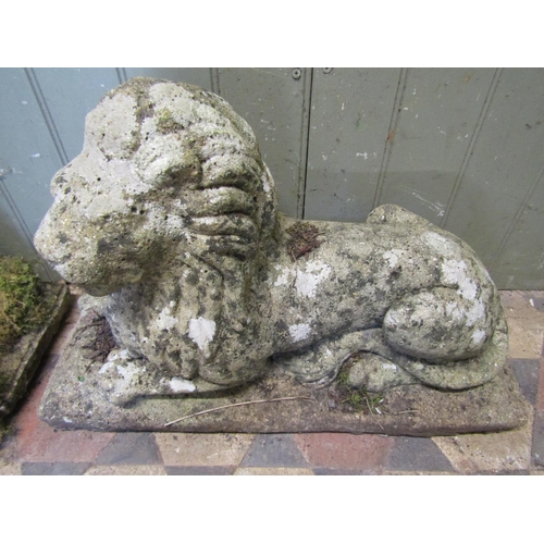 2110 - A pair of weathered cast composition stone garden ornaments in the form of recumbent lions with flow... 