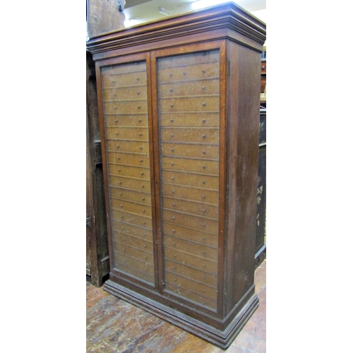 2679 - Good quality oak specimen cabinet with two glazed panelled doors enclosing two towers of eighteen dr... 