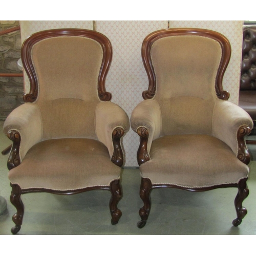 2360 - A pair of Victorian spoonback drawing room chairs with showwood frames, brown ceramic castors