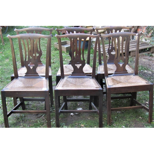 2663 - Set of six Georgian fruitwood dining chairs, with pierced splats and rush seats