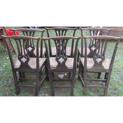 2663 - Set of six Georgian fruitwood dining chairs, with pierced splats and rush seats