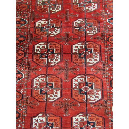 2538 - A Turkoman Tekke Rug with elephant foot design in mellow tones of orange, indigo and natural wool, 1... 