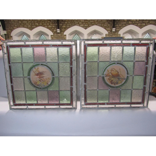 2498 - A pair of leaded and stained glass windows with bird on branch panels 49cm square together with a sm... 