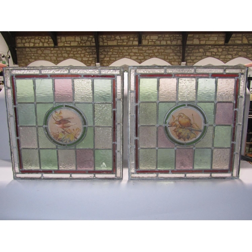 2498 - A pair of leaded and stained glass windows with bird on branch panels 49cm square together with a sm... 