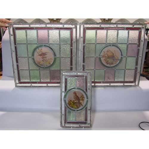 2498 - A pair of leaded and stained glass windows with bird on branch panels 49cm square together with a sm... 