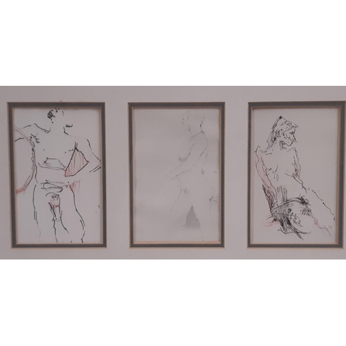 11 - John Christoper-Stone (b.1923) - Four still life studies in two frames, pen and pencil on paper, bot... 