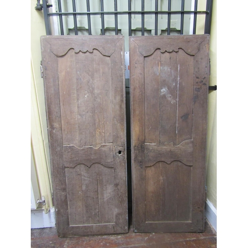 2809 - Pair of painted and distressed antique oak armoire doors, each 154 x 58cm