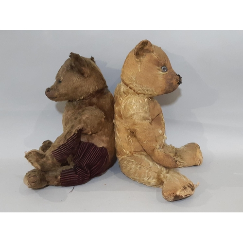 395 - 2 early 20th century teddy bears both with jointed body, pronounced muzzle and stitched nose includi... 