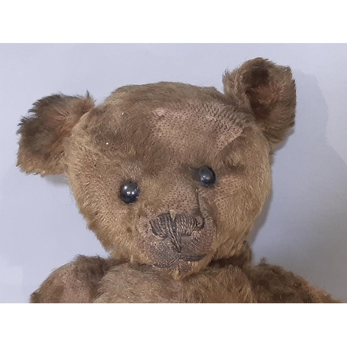 395 - 2 early 20th century teddy bears both with jointed body, pronounced muzzle and stitched nose includi... 