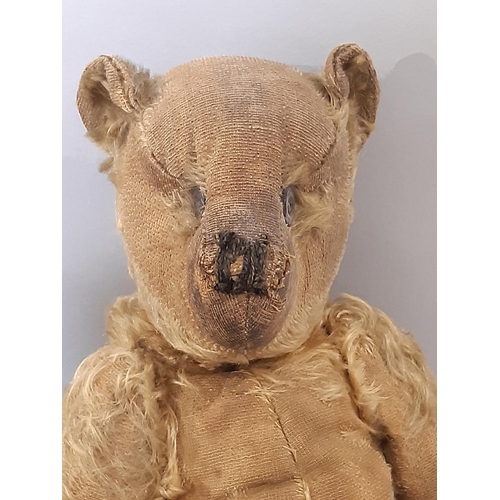 395 - 2 early 20th century teddy bears both with jointed body, pronounced muzzle and stitched nose includi... 