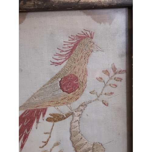 40 - silk needlework of bird on branch (c.18th century), frame: 15 x 11.5 cm, framed and glazed