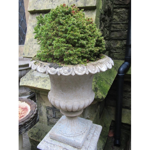 2015 - A weathered cast composition stone campana shaped garden urn with flared egg and dart rim, fixed soc... 