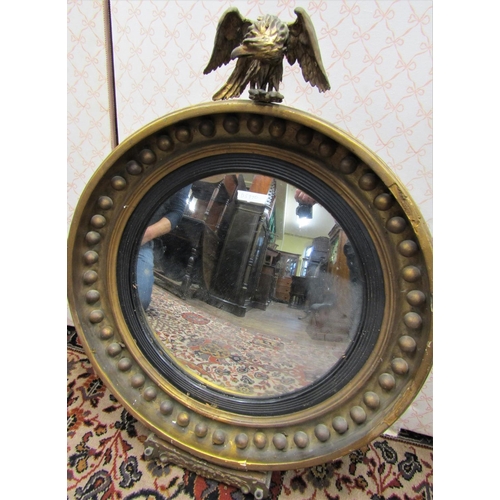 2804 - A Regency gilded convex wall mirror of usual form surmounted by an eagle, the lower platform with br... 