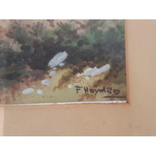 75 - F. Hayden - Two framed landscapes in watercolour, signed lower right, approx. 27 x 19 cm each (2)