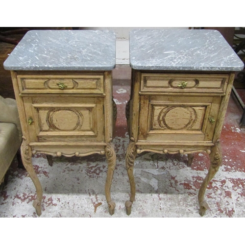 2637 - A pair of 19th century bedside/lamp tables each enclosed by a panelled door and frieze drawer on cab... 