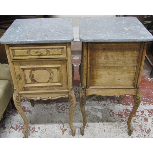 2637 - A pair of 19th century bedside/lamp tables each enclosed by a panelled door and frieze drawer on cab... 