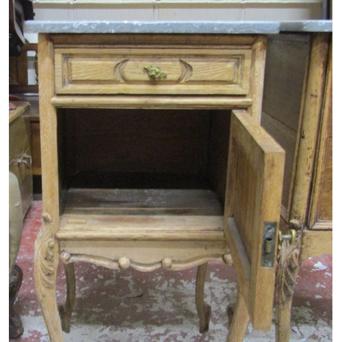 2637 - A pair of 19th century bedside/lamp tables each enclosed by a panelled door and frieze drawer on cab... 