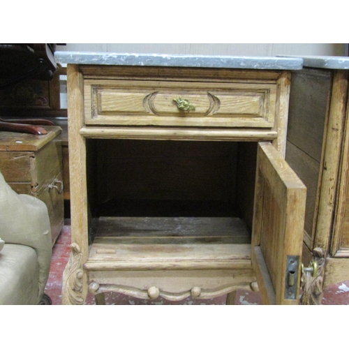 2637 - A pair of 19th century bedside/lamp tables each enclosed by a panelled door and frieze drawer on cab... 