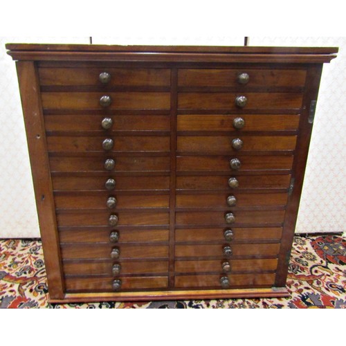 2731 - A good quality Victorian mahogany specimen cabinet, the case enclosing two towers of twelve drawers,... 