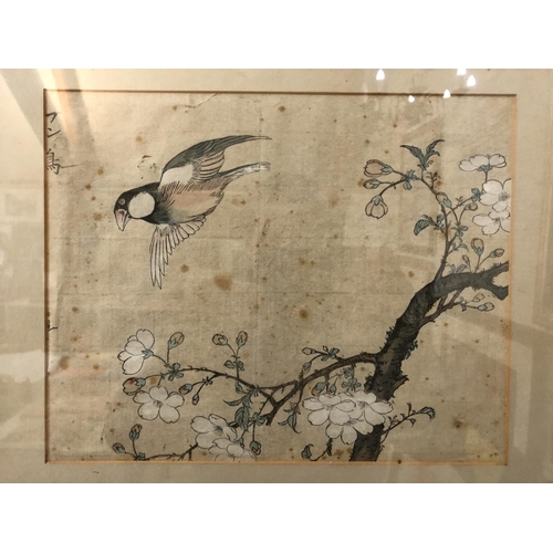 101 - Two Japanese woodblock prints in colours of birds, both with writing in print top left, 21 x 27 cm, ... 