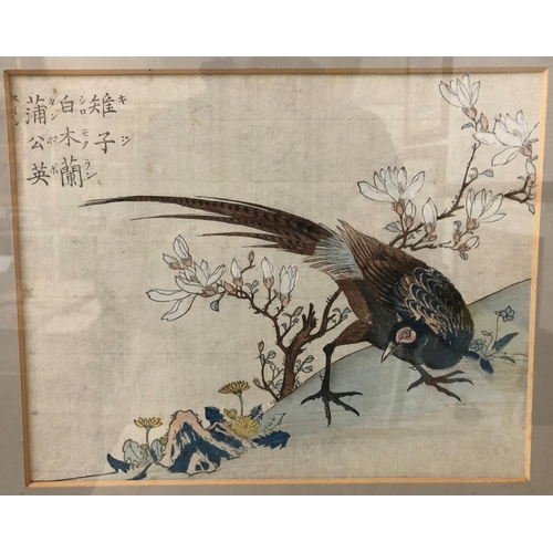 101 - Two Japanese woodblock prints in colours of birds, both with writing in print top left, 21 x 27 cm, ... 