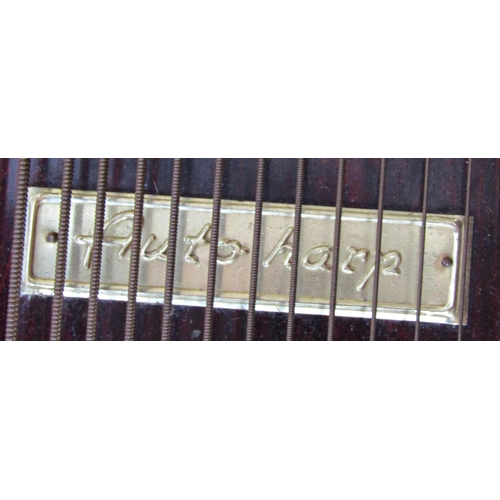 1813 - An autoharp