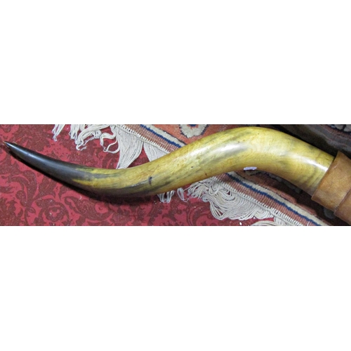 1821 - A Highland Cattle Horn with leather cover with a span of 140 cm.