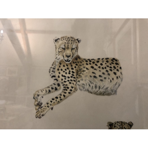 51 - Joy Adamson - (1910-1980) - Cheetahs Resting, limited edition print (214/500), published by The Tyro... 